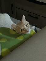 https://images.plurk.com/50ymkWhFgoricyjoYxHWMx.jpg