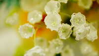 https://images.plurk.com/50z0rsGl26rOvPkmdWji7K.jpg