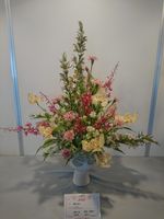 https://images.plurk.com/510Ag6Rlvp9AvYdPXERK.jpg