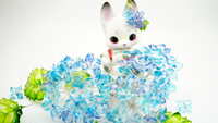 https://images.plurk.com/51CzlaORMfZlT9Ii029xnq.jpg