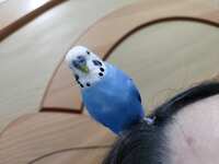 https://images.plurk.com/51FcYkLajFXUYcOCRekYvP.jpg