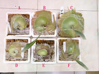 https://images.plurk.com/51HR9sOcc6iIiXb8hQElr9.jpg