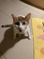 https://images.plurk.com/51KSeq3Jb6oLM9WJ9D3WSM.jpg