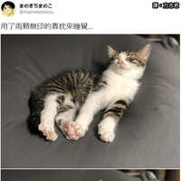 https://images.plurk.com/51N0MquBIENuiEScoXtVUs.jpg