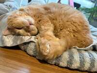 https://images.plurk.com/51QWv4zHUou138PNFuQqxP.jpg