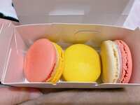 https://images.plurk.com/51WJLYpC4fmT42yHYRlUlX.jpg