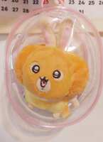 https://images.plurk.com/51aoPK25sksU7Bb9l47s3N.jpg