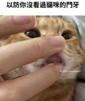 https://images.plurk.com/51e3xxmf4toV6KbqD7yCwD.png