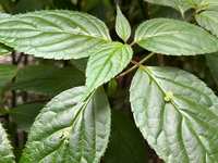 https://images.plurk.com/51g4bUrWtpnklFpcYzfXZN.jpg