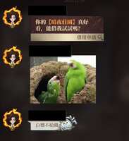 https://images.plurk.com/51o8jjpToK8aPHSWZbFvEd.png