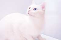https://images.plurk.com/51oVTeRFlJzKdMgNl1t1tO.png