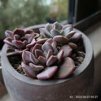 https://images.plurk.com/51pt9dJ0eX3L7HTJ5HEyvK.jpg