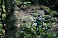 https://images.plurk.com/51zHmT3yycPvfTddmFv8nc.jpg