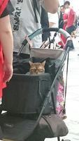 https://images.plurk.com/521CfL4nc4PNCLjRGNuQ.jpg