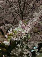https://images.plurk.com/524s07zTyZJYzbIbwZK53C.jpg
