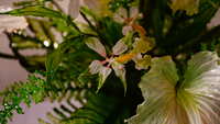 https://images.plurk.com/52Bus6q4SZaZNPCER5lkbO.jpg