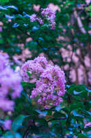 https://images.plurk.com/52EFyhOuiESjsJLrzAHKu5.jpg
