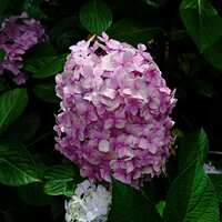 https://images.plurk.com/52IoTcwqR5oBKDiCfQq7Jr.jpg