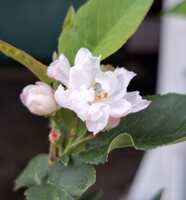 https://images.plurk.com/52L4mFve5sgFtiFTt7LnET.jpg