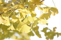 https://images.plurk.com/52OZvR3sXH9JWtmKVwQrQo.jpg