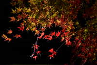 https://images.plurk.com/52YsPbqOrzpqgIVtHZTVPW.jpg
