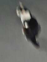 https://images.plurk.com/52d1Tt37bxf1cOvTTV0hlA.jpg