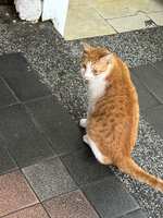 https://images.plurk.com/52kxVlS0hZkD2uEfgkTxTw.jpg