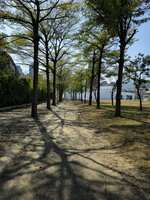 https://images.plurk.com/52kzgN7St7E55ygLBOSwvL.jpg