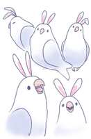 https://images.plurk.com/52nxnzjveLynfSdAG8BgAx.jpg