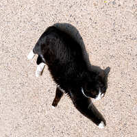https://images.plurk.com/530bPkrrQSa5QoDH7ngTIp.jpg