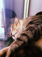 https://images.plurk.com/532jm77guEEcGvEC8wdM0J.jpg