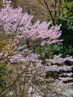 https://images.plurk.com/53DbetQvWz3sXd5MAhU2IM.jpg