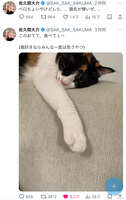 https://images.plurk.com/53H7aHA6DLObT8mArnMXG1.jpg