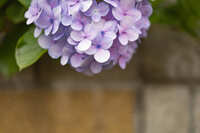 https://images.plurk.com/53Sa2aogfSEnnRm7UD7VOn.jpg