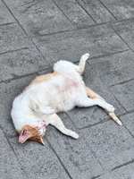 https://images.plurk.com/53WdpJnfqbFcigOimISGHR.jpg