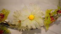 https://images.plurk.com/53YKKBLhuinZ5exDeFD6aQ.jpg