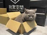 https://images.plurk.com/53gUpcXNhUzaLRNSL376k7.jpg