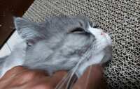 https://images.plurk.com/53oDUQU2TqJeQXYKUBn2jE.jpg