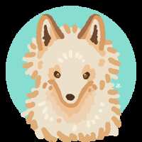 https://images.plurk.com/53q2VvXFM4LreVqx5gGZDy.png