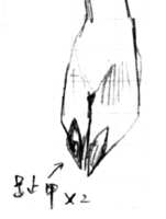 https://images.plurk.com/53uZYU8kESKzQatyo2QR5D.png
