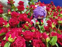 https://images.plurk.com/53vmQMZedf5xSI4TtvQLo3.jpg