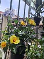 https://images.plurk.com/53zOBg1jZk1WJnbU2psa2U.jpg