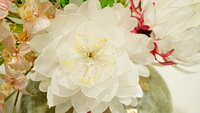 https://images.plurk.com/54LOu4SkpylXGpOzY1YqD3.jpg
