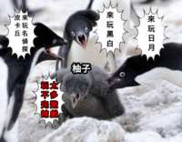 https://images.plurk.com/54OYzVYFg4gim2IOxin3tH.png