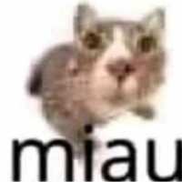 https://images.plurk.com/54V4rQFUFXow5kHdXn9PfZ.png