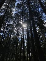 https://images.plurk.com/54XIpMpkUyvh3LOxX2p5S3.jpg