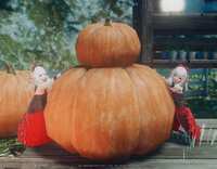 https://images.plurk.com/54XJxZQLGQ3mM8jdnhfJq3.png