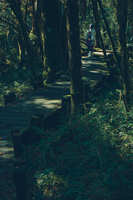 https://images.plurk.com/54aosNWRdScwuu4SraEILH.jpg