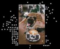 https://images.plurk.com/54axkd0klEe79Z6hKrFsvq.png