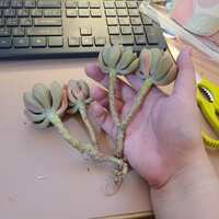 https://images.plurk.com/54nH8h3akW1AnLwaAUBdce.jpg
